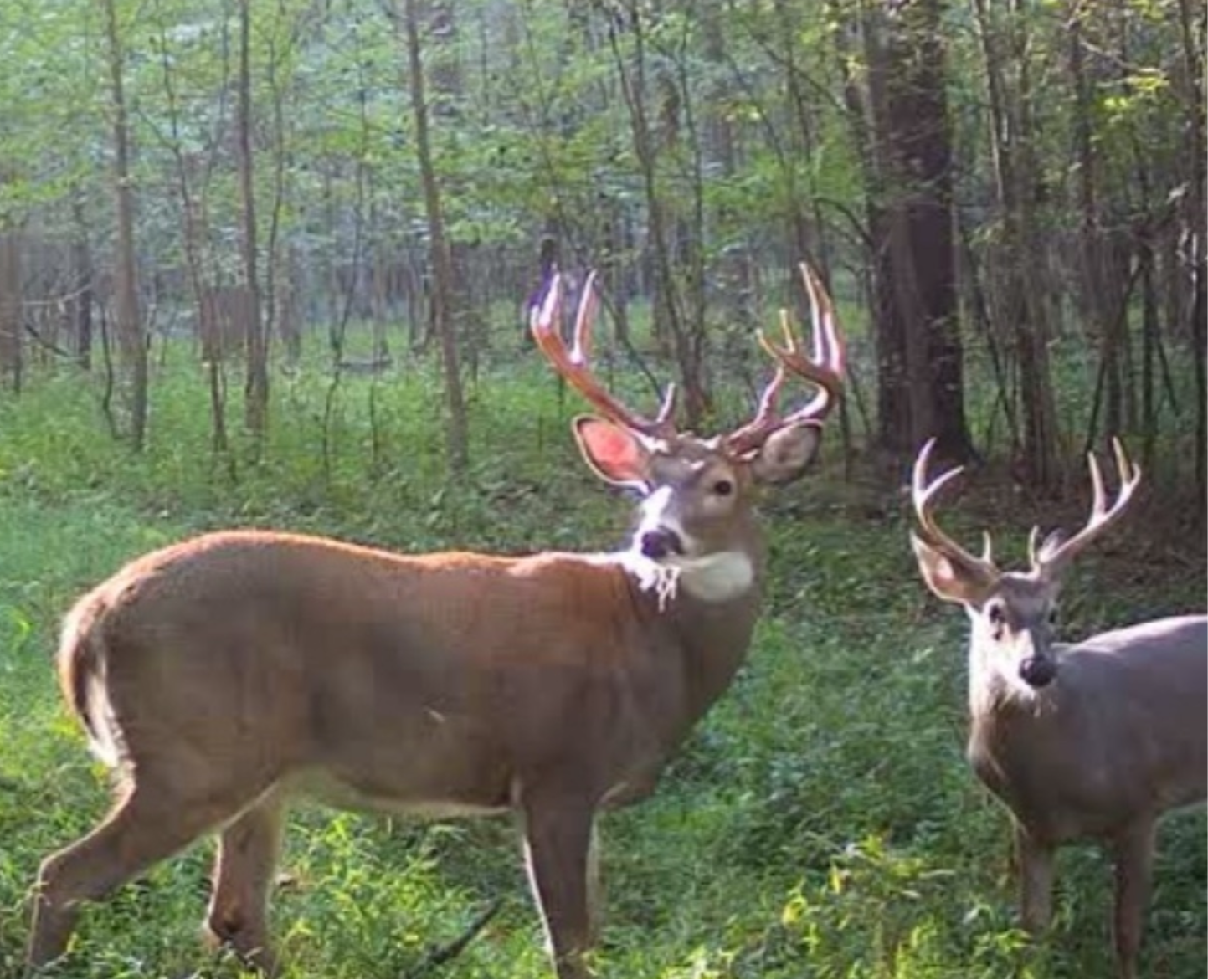 COMING SOON....MAKING THE MECCA VIDEO SERIES