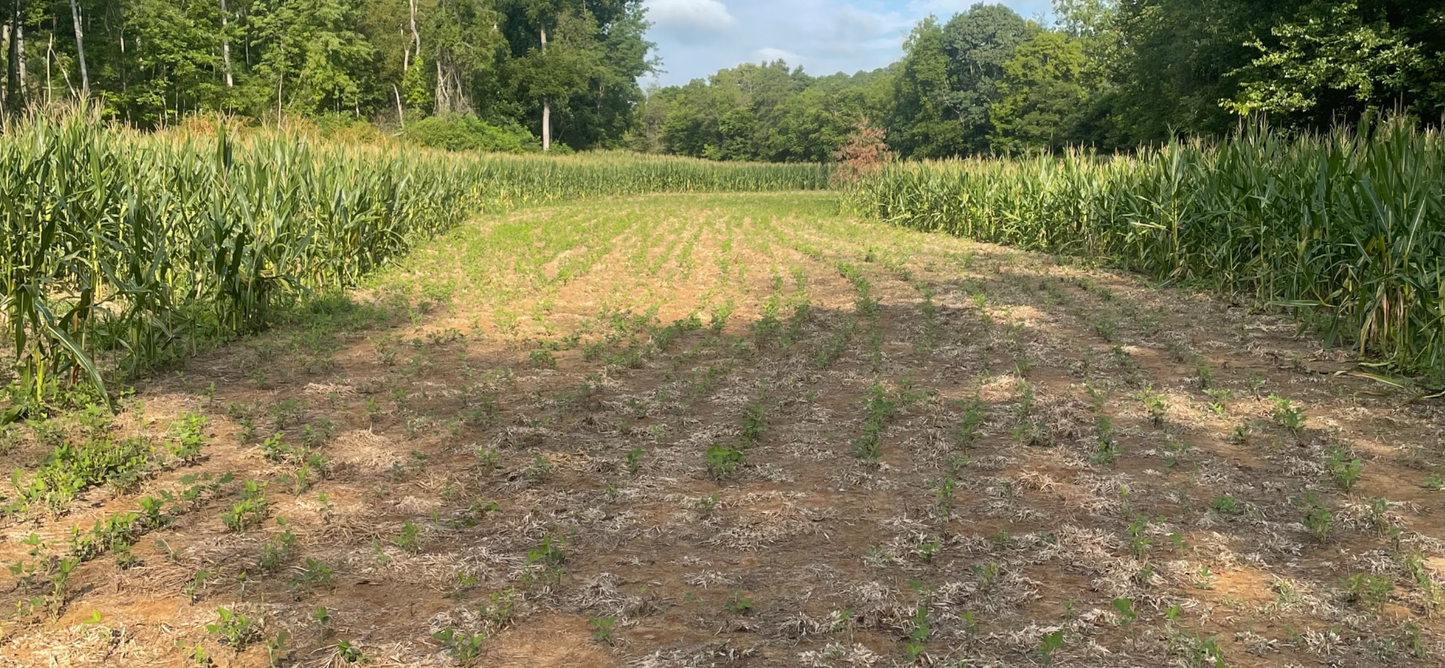 "BOOTS ON THE GROUND"ON FARM VISIT