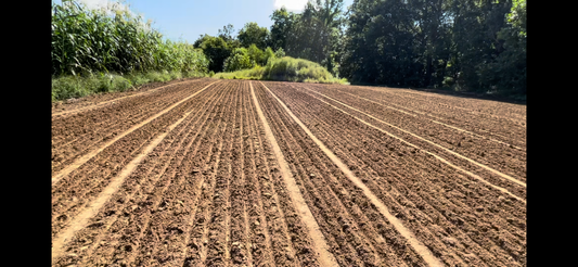 Micro Plot Master Blend (Built For Small Plots & Poor Soils) 1/3 Acre