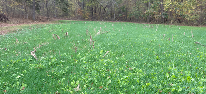 BEAST MODE!! 20LB BAG…PLANTS 1/5-1/3 ACRE (PRE ORDER, SHIPS EARLY JULY 2026)